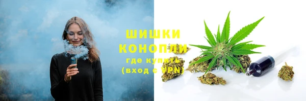 крисы Чердынь