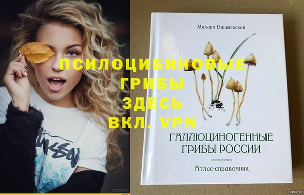 первитин Богородск