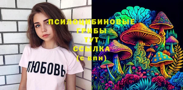 первитин Богородск