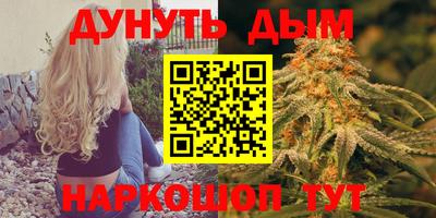 гидра Ставрополь