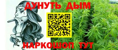 гидра Ставрополь