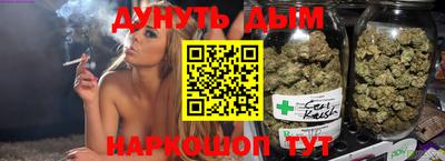 гидра Ставрополь