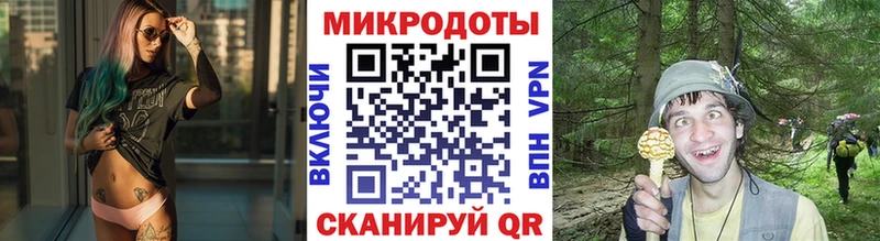 дарнет шоп  Обь  Галлюциногенные грибы Psilocybine cubensis 