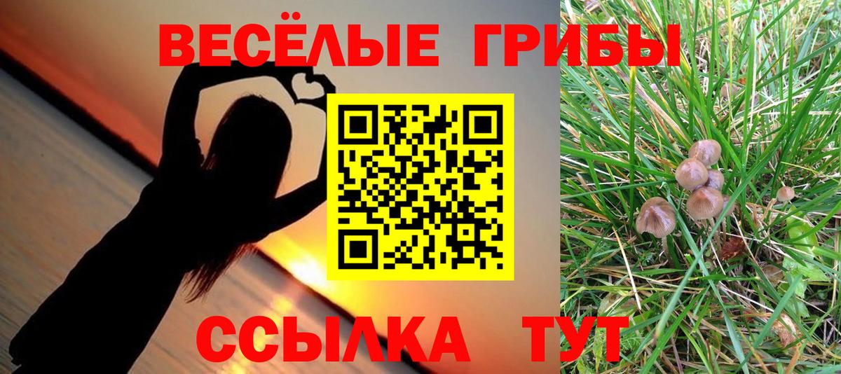 Псилоцибиновые грибы MAGIC MUSHROOMS  Вход с VPN  Обь 